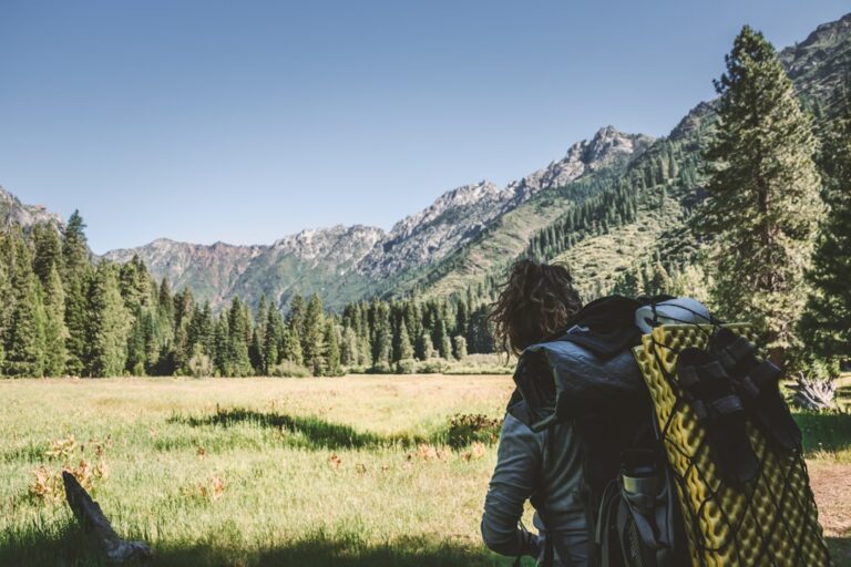 How to Choose the Perfect Backpack for Traveling